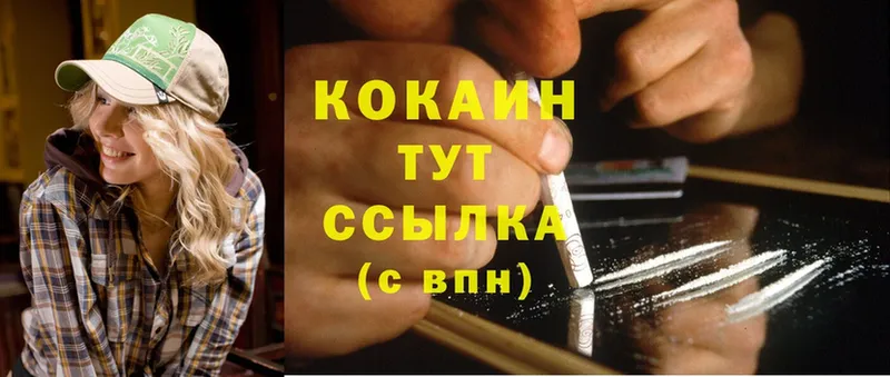 как найти закладки  Стрежевой  Cocaine FishScale 